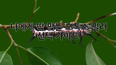 나에게 딱 맞는 보톡스, 필러 선택 가이드