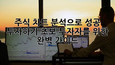 주식 차트 분석으로 성공 투자하기: 초보 투자자를 위한 완벽 가이드